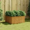 Image de Jardinière 80x80x40 cm acier corten