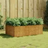 Image de Lit surélevé de jardin 120x80x40 cm acier corten