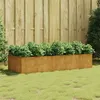 Image de Lit surélevé de jardin 200x80x40 cm acier corten