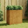 Image de vidaXL Plantenbak 40x80x80 cm cortenstaal824536