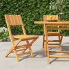Image de vidaXL Chaises de jardin pliantes 2 pcs 47x61x90 cm bois massif teck 362759