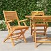 Image de Chaises de jardin pliantes lot de 2 55x62x90cm bois massif teck
