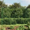 Image de vidaXL Gaashek met flens 1,4x10 m groen153939