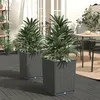Image de vidaXL Jardinières 2 pcs noir 30x30x37 cm polypropylène 364182