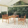 Image de vidaXL 3-delige Tuinset massief teakhout3157150
