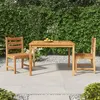 Image de vidaXL 3-delige Tuinset massief teakhout3157179