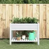Image de vidaXL Lit surélevé de jardin blanc 110x45x79 cm polypropylène 364177