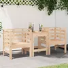 Image de vidaXL Lot de 2 Chaises de Jardin, Sièges avec Accoudoirs et Dossier, Fauteuils de Patio Arrière-cour Pelouse Extérieur, 825128
