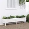 Image de vidaXL Lit surélevé de jardin blanc 160x30x38 cm bois de pin massif 825192