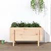 Image de vidaXL Lit surélevé de jardin 101x50x57 cm bois de pin massif 825212