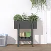 Image de vidaXL Jardinière gris 62x30x69 cm bois massif de pin 825235