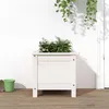 Image de Jardinière blanc 40x40x39 cm bois massif de pin