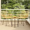 Image de vidaXL Ensemble à Manger de Jardin 3 pcs, Chaises à Manger avec Accoudoirs, Ensemble de Meubles avec Table, Mobilier de 3157829