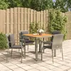 Image de vidaXL 5-delige Tuinset met kussens poly rattan grijs3184970
