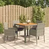 Image de vidaXL 5-delige Tuinset met kussens poly rattan grijs3185018