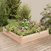 Image de Lit surélevé de jardin doublure 120x120x25 cm bois massif sapin