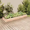 Image de Lit surélevé de jardin doublure 240x60x25 cm bois massif sapin