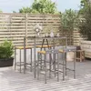 Image de vidaXL 5-delige Tuinbarset poly rattan en massief acaciahout grijs3187677