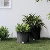 Image de Jardinière et intérieur amovible anthracite 15 15,3 L rotin PP
