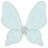 Image de Ailes de fee Florentina - Souza phanine