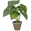 Image de Mica Decorations, Plantes artificielles, Caladium (28 cm)