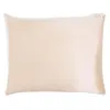 Image de Dore & Rose Pilowcase 51x96 Champagne Oreiller 1 art.