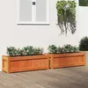 Image de Jardinières 2 pcs cire marron bois de pin massif