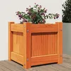 Image de vidaXL Jardinière cire marron 31x31x31 cm bois de pin massif837398