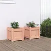 Image de Jardinières 2 pcs bois massif douglas