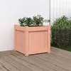 Image de vidaXL Jardinière 40x40x40 cm bois massif douglas 837410
