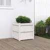Image de Jardinière blanc 50x50x50 cm bois de pin massif