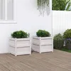 Image de vidaXL Jardinières 2 pcs blanc bois de pin massif 837417