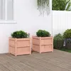 Image de Jardinières 2 pcs bois massif douglas