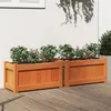 Image de Jardinières 2 pcs cire marron bois de pin massif
