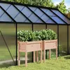 Image de Jardinières 2 pcs avec pieds bois massif douglas