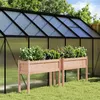 Image de Jardinières 2 pcs avec pieds bois massif douglas