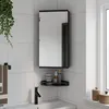 Image de vidaXL Armoire de bain à miroir d'angle noir 30x24x60 cm, armoire de salle de bain, armoire de toilette avec miroir, meuble 357979