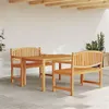 Image de vidaXL 3-delige Tuinset massief teakhout3157940