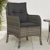 Image de vidaXL Lot de 2 Chaises de Jardin avec Coussins, Sièges de Patio avec Housse Amovible, Meubles d'Extérieur Terrasse, Gris 365147