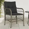 Image de Lot de 2 chaise vidaxl en resine tressee empilable non pliable exterieur H. 86 cm gris