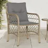 Image de vidaXL Lot de 2 Chaises de Jardin avec Coussins, Sièges de Patio avec Housse Amovible, Meubles d'Extérieur Terrasse, Mélange 365157