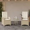 Image de Lot de 2 chaise Vidaxl exterieur non pliable en rotin H. 93 cm beige