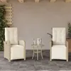 Image de Lot de 2 chaise Vidaxl en rotin non pliable exterieur H. 93 cm beige