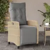 Image de vidaXL Chaise inclinable de jardin et repose-pied mélange beige rotin 365237