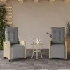 Image de vidaXL Chaises inclinables de jardin lot de 2 avec repose-pied rotin 365245