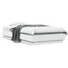 Image de vidaXL Cadre de Lit avec Lumières LED, Sommier à Lattes, Lit Simple, Lit Adulte de Chambre à Coucher Intérieur, Moderne, 839546