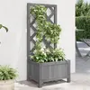 Image de vidaXL Jardinière avec Treillis, Lit Surélevé, Bac à Fleurs, Pot de Plantes, Boîte à Fleurs Jardin Patio Terrasse, Gris Bois 365474
