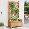 Image de vidaXL Jardinière avec Treillis, Lit Surélevé, Bac à Fleurs, Pot de Plantes, Boîte à Fleurs Jardin Patio Terrasse, Marron 365485