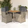 Image de vidaXL 5-delige Tuinset met kussens poly rattan grijs3212481