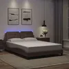 Image de vidaXL Cadre de lit avec lumières LED gris 120x200 cm similicuir, lit, sommier, lit en similicuir, meuble de chambre à 3214099